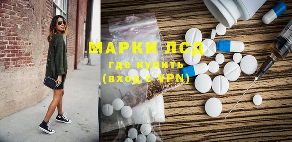 спиды Покровск