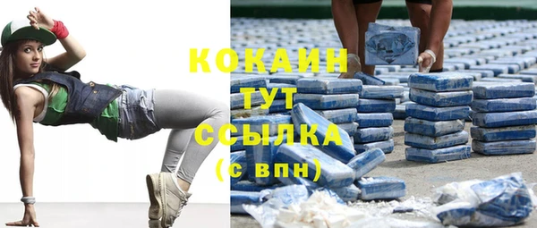 ECSTASY Яровое