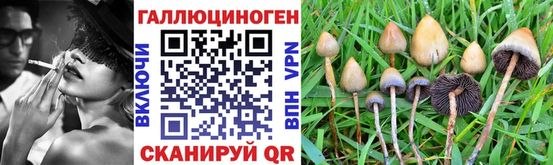 Псилоцибиновые грибы мицелий  Пролетарск 