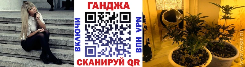 Марихуана сатива  Пролетарск 